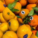 Easy Peelers - 1kg