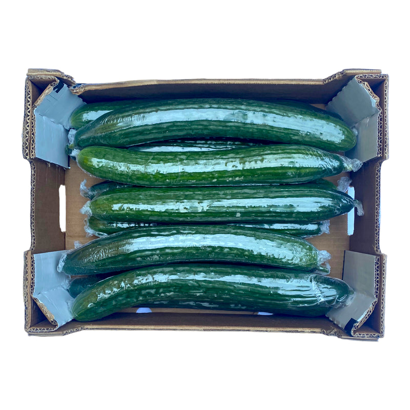 Cucumber Box of 12