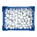 Mushroom 2.5kg