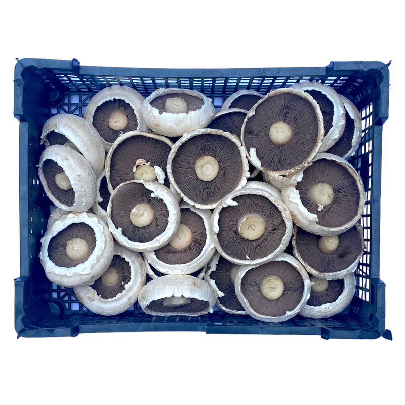 Flat Mushroom 1.5kg