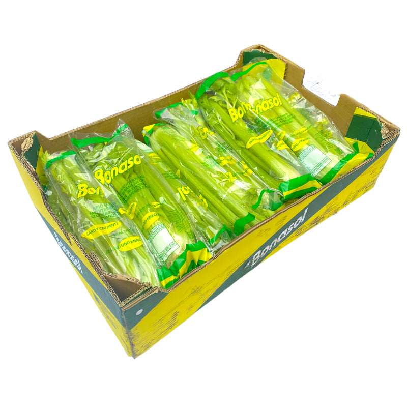Celery Box of 15