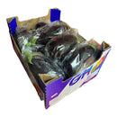 Aubergine 5kg