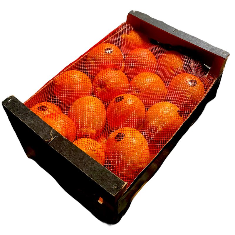 Extra Large Orange Box of 42