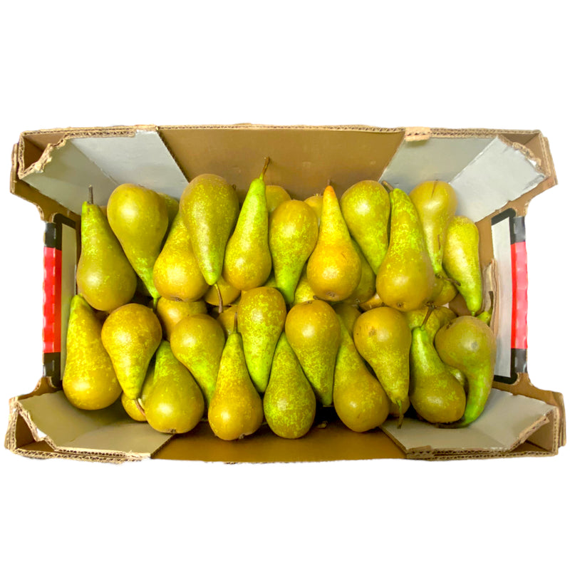 Conference Pear Box of 60-70