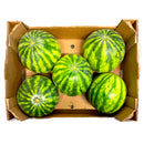 Watermelon x 6