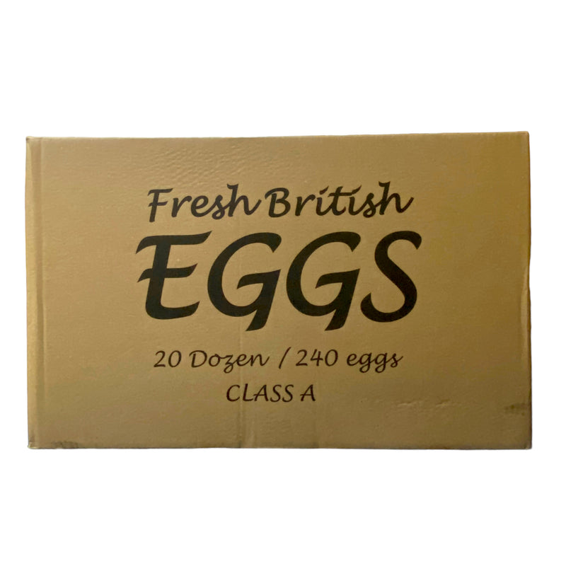 Extra Large Egg Trays 12 x 20