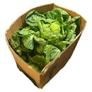 Brussel Top 5kg