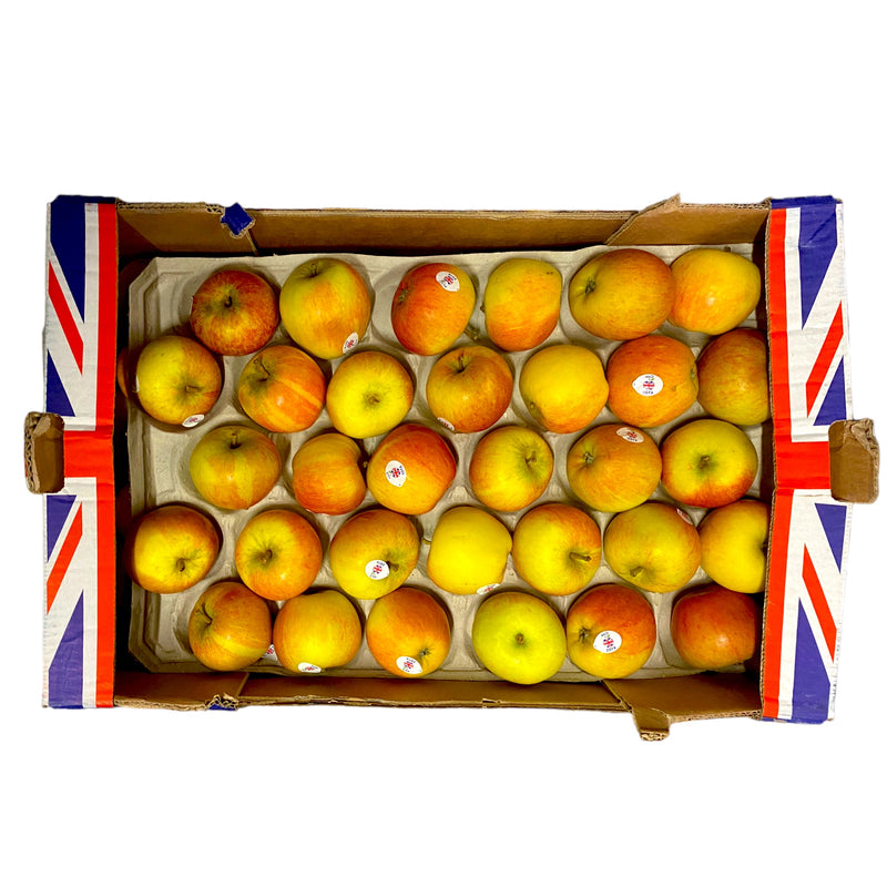 Cox Apples - Box