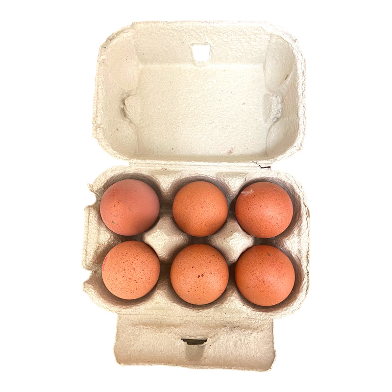 Medium Eggs 6 Pack