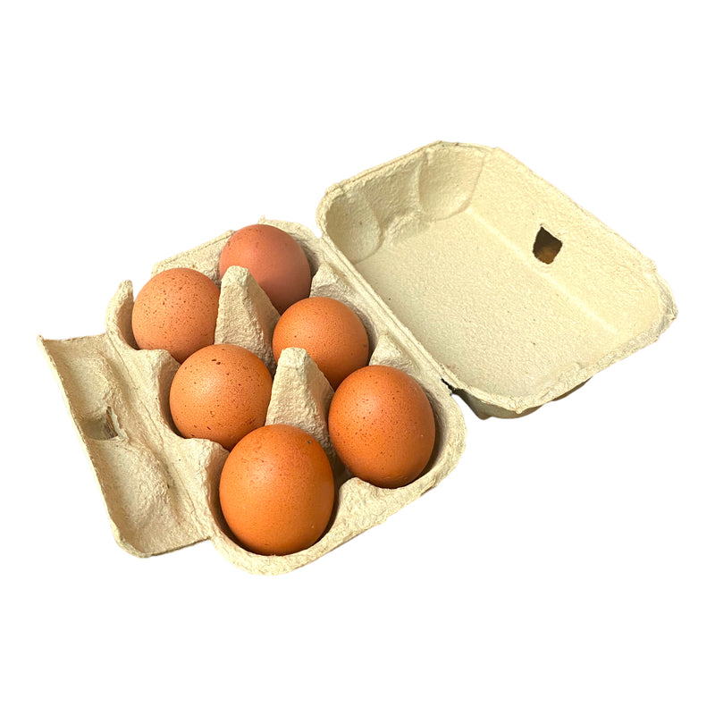 Medium Eggs 6 Pack