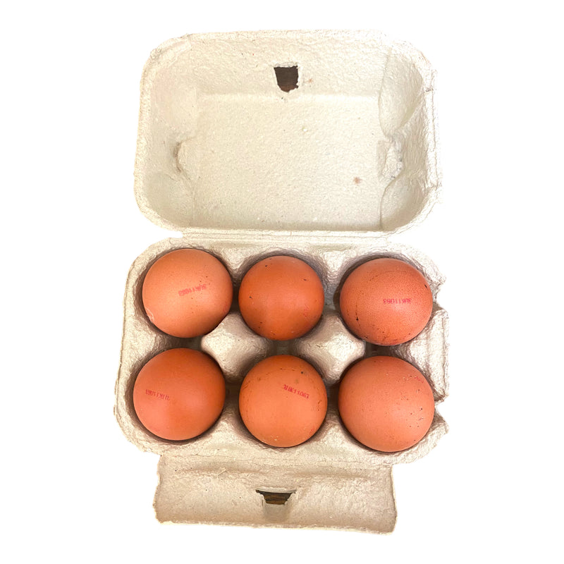 Large Eggs 6 Pack