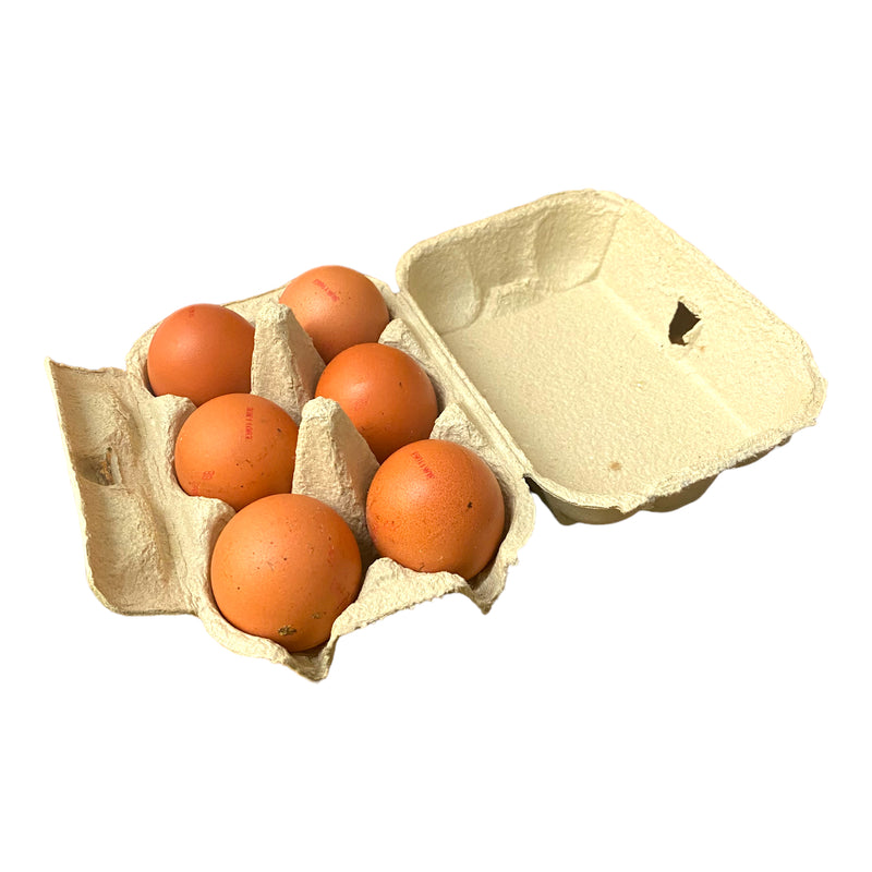 Large Eggs 6 Pack