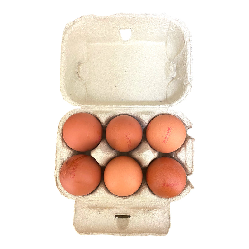 Extra Large Eggs 6 Pack