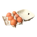 Free Range Large 6 Pack