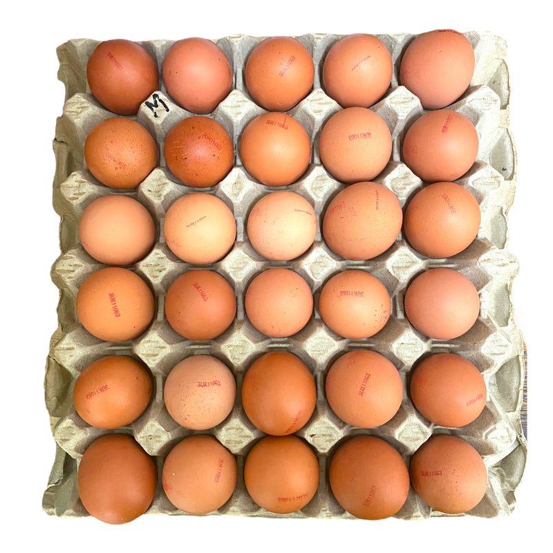 Medium Eggs Tray