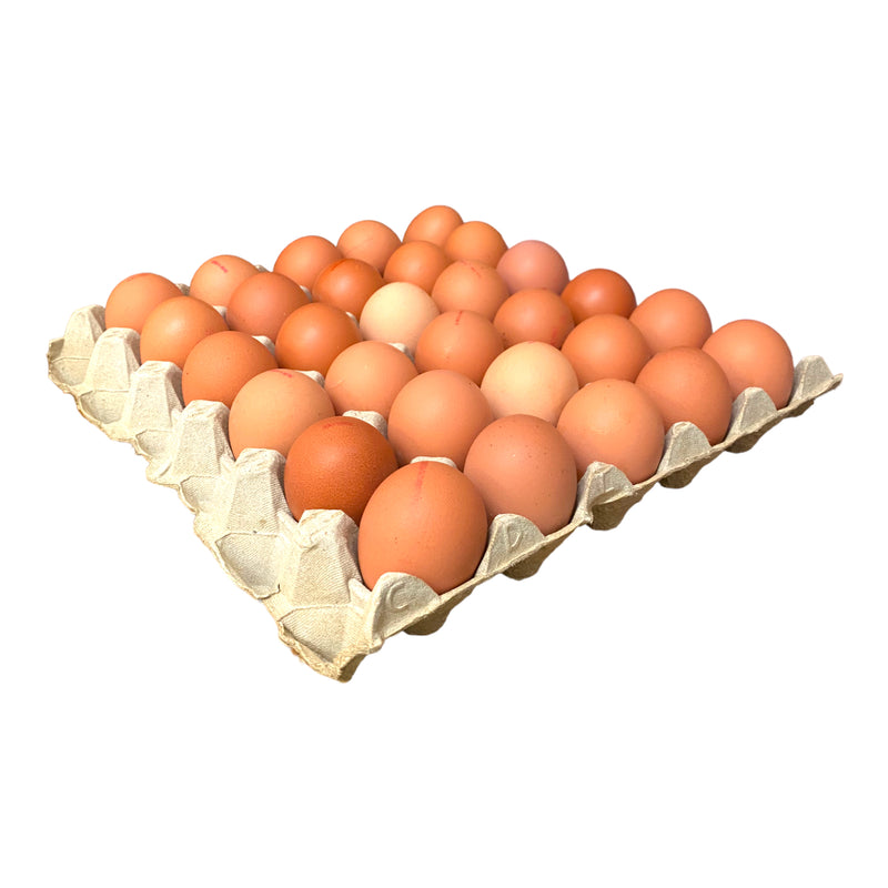 Large Eggs Tray