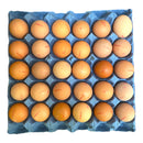 Free Range Medium Tray