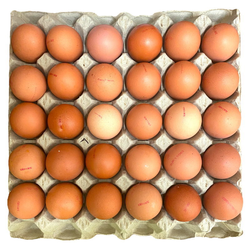 Large Eggs Tray
