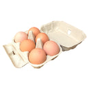 Free Range Extra Large 6 Pack