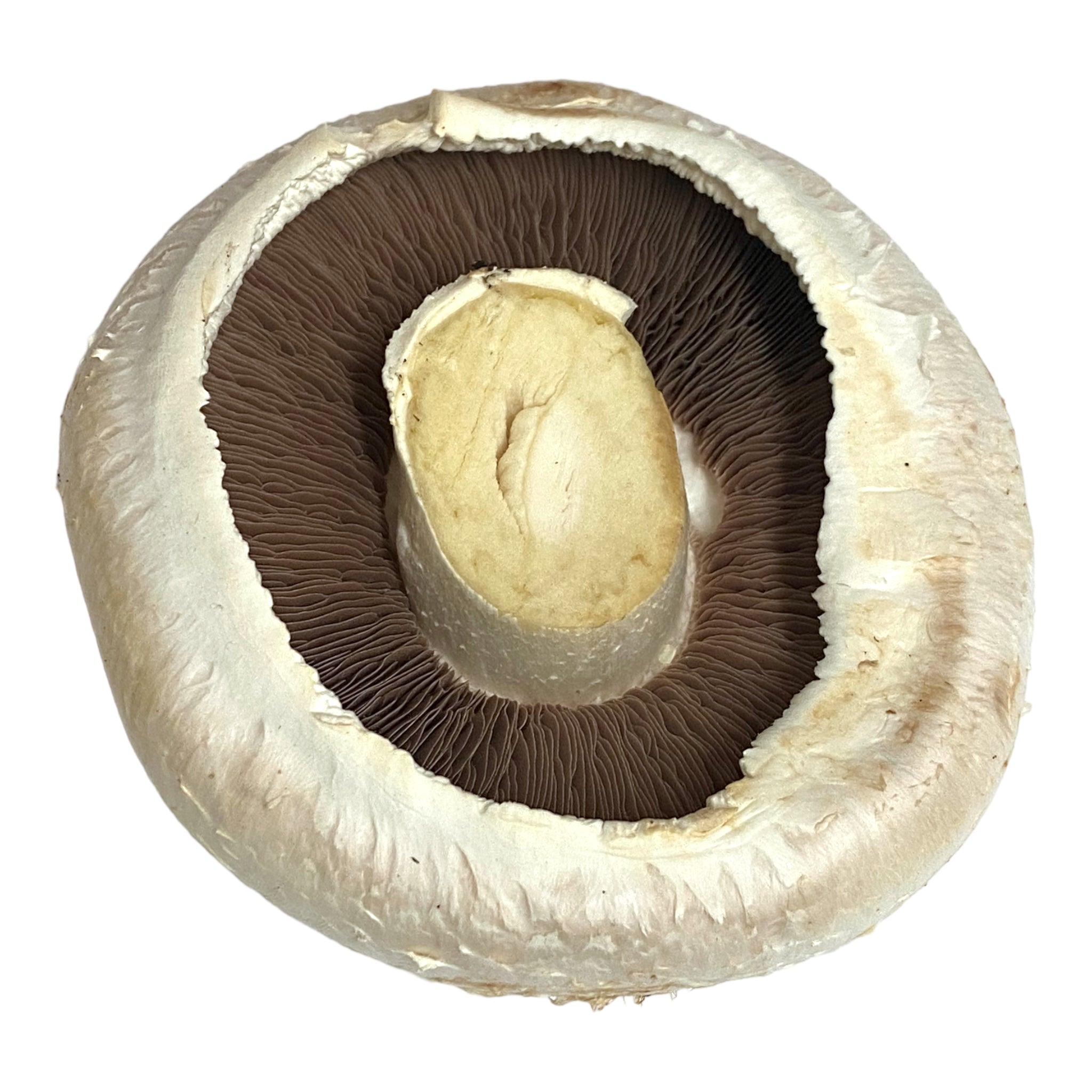 Flat Mushroom - per 500g