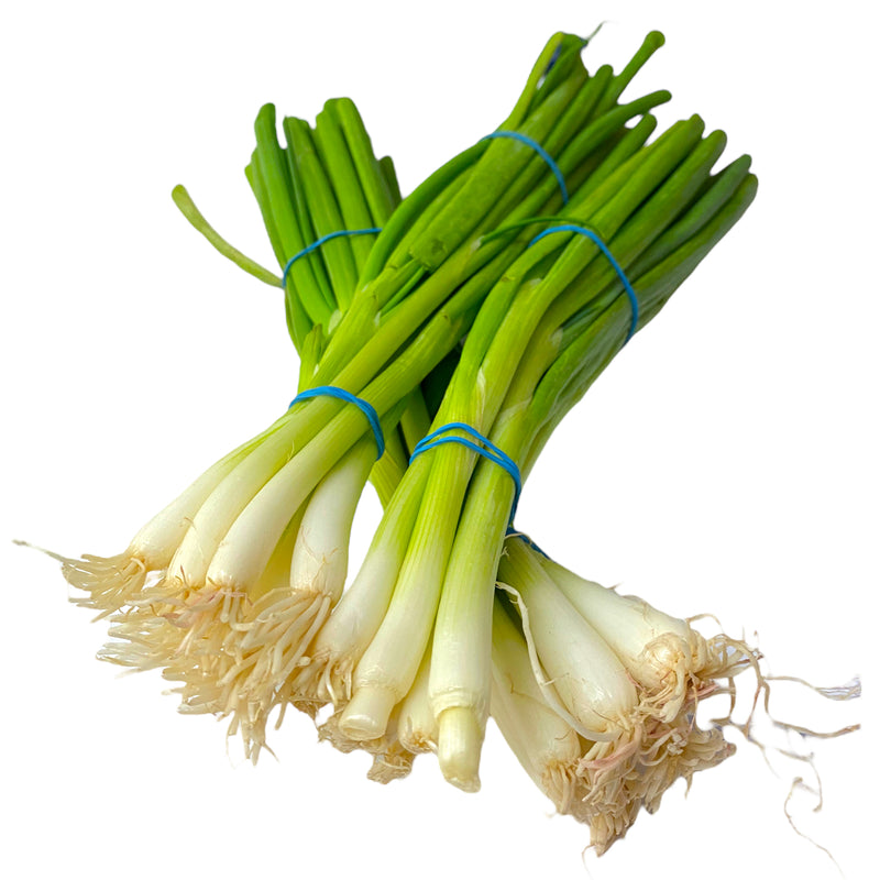 Spring Onions - Bunch