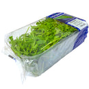 Rocket - 100g