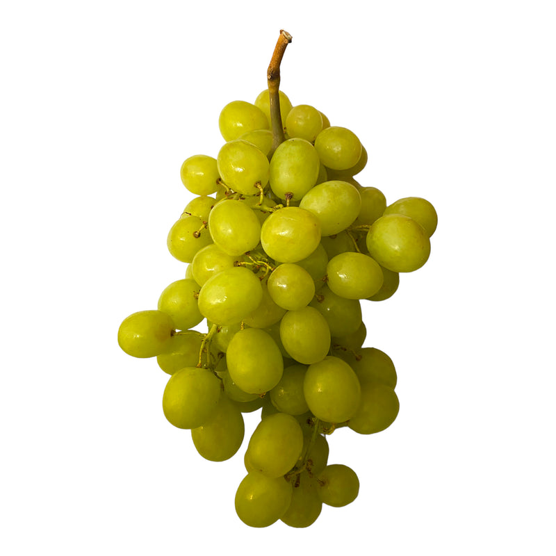 White Grapes Seedless - Bag