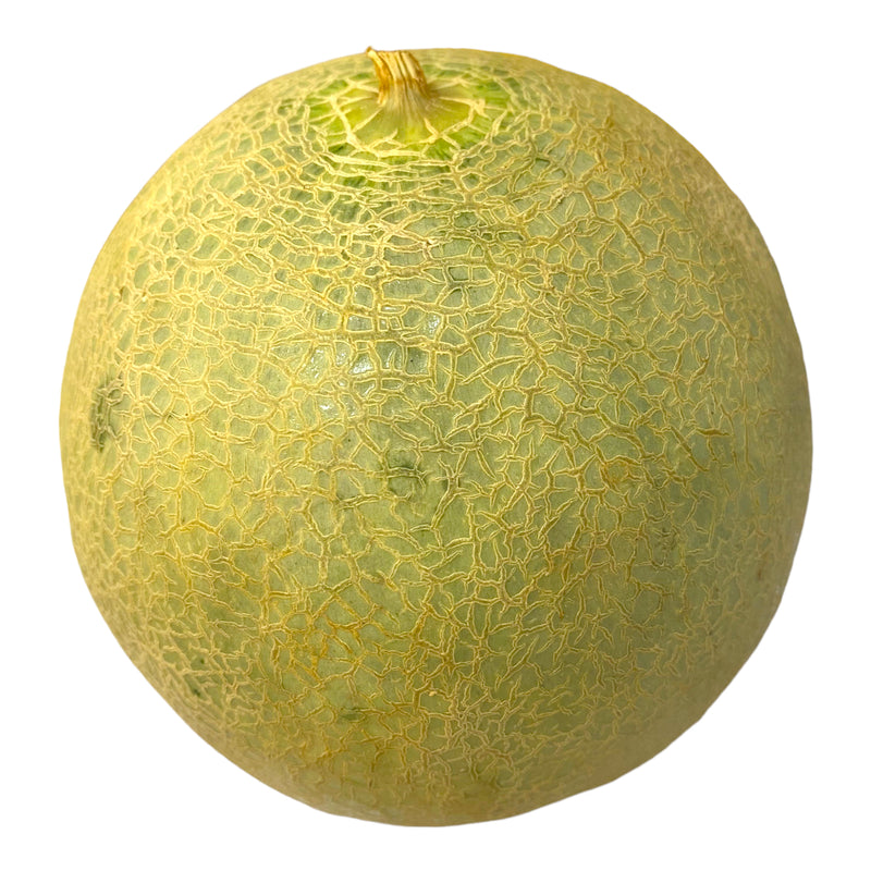 Cantaloupe Melon - Each