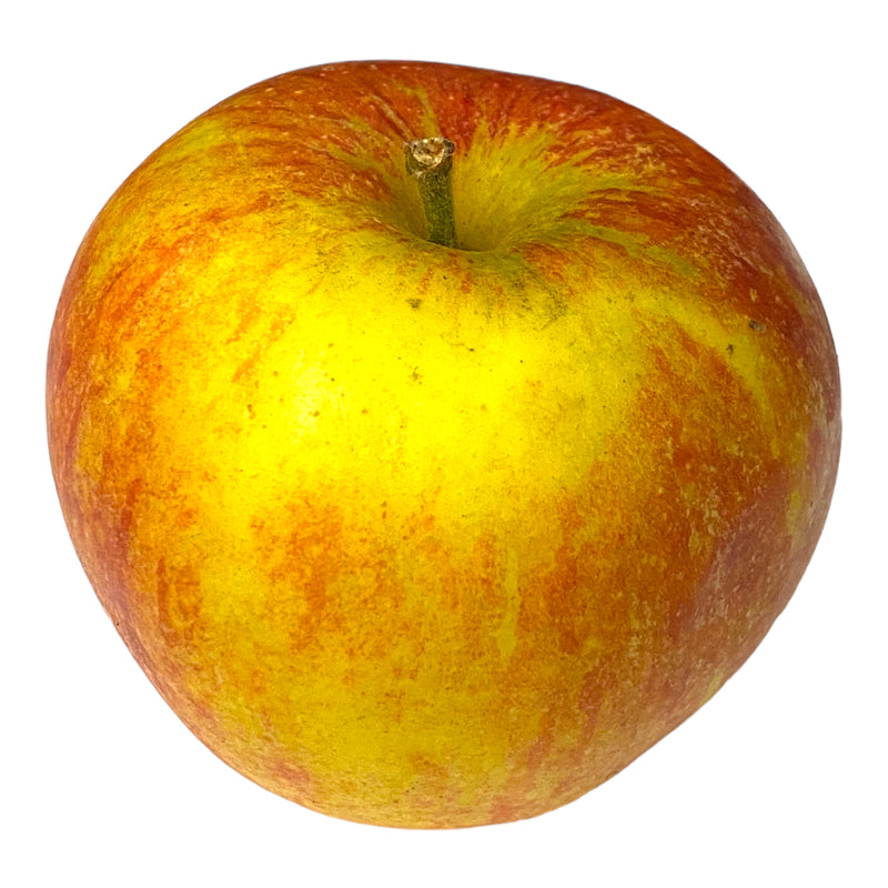 Cox Apples - per 200g