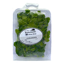 Coriander 25g
