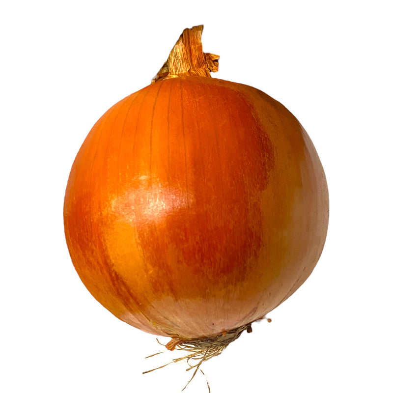 Spanish Onions - per 500g