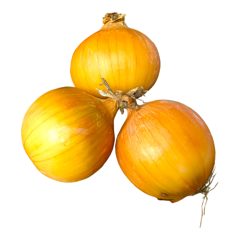 English Onions 4kg