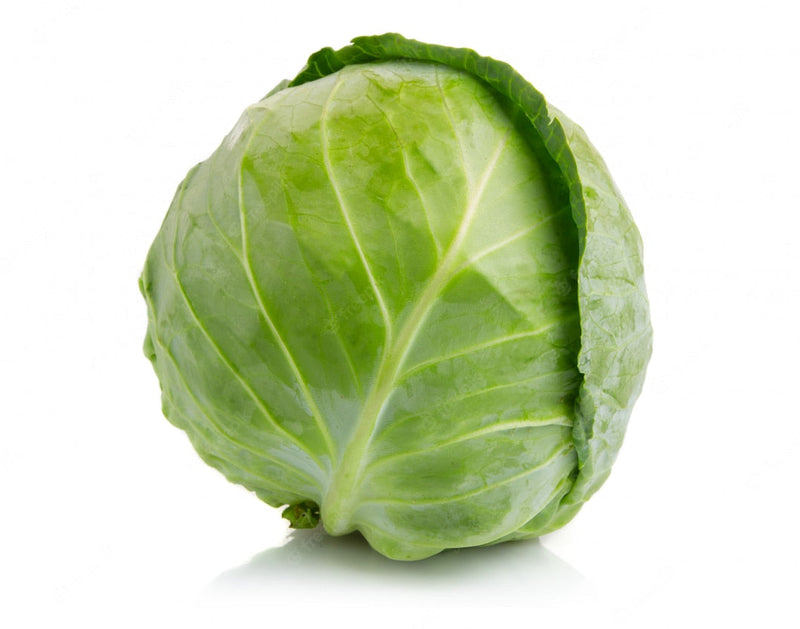 Cabbage - Primo x12