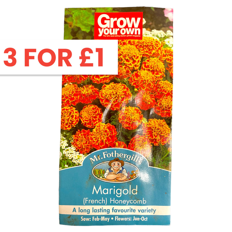 Mr Fothergills Marigold Seeds