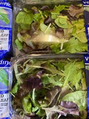 Mixed Baby Leaf Salad Punnet
