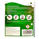 Flow Washing Up Liquid Apple Scent 5L