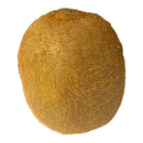 Kiwi - Each