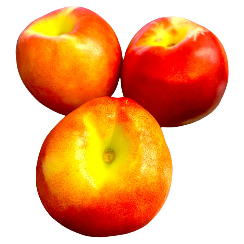 Nectarines - Each