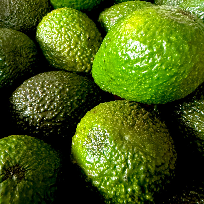 Organic Avocado
