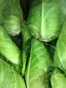 Cabbage - Hispi Pointed