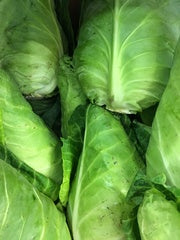 Cabbage - Hispi Pointed