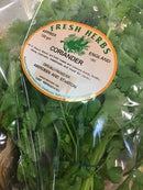 Herbs - Coriander Bag/Punnet
