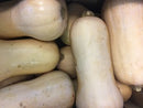 Butternut Squash - Each