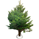 PINK TAG Premium Christmas Tree 7ft - 8ft