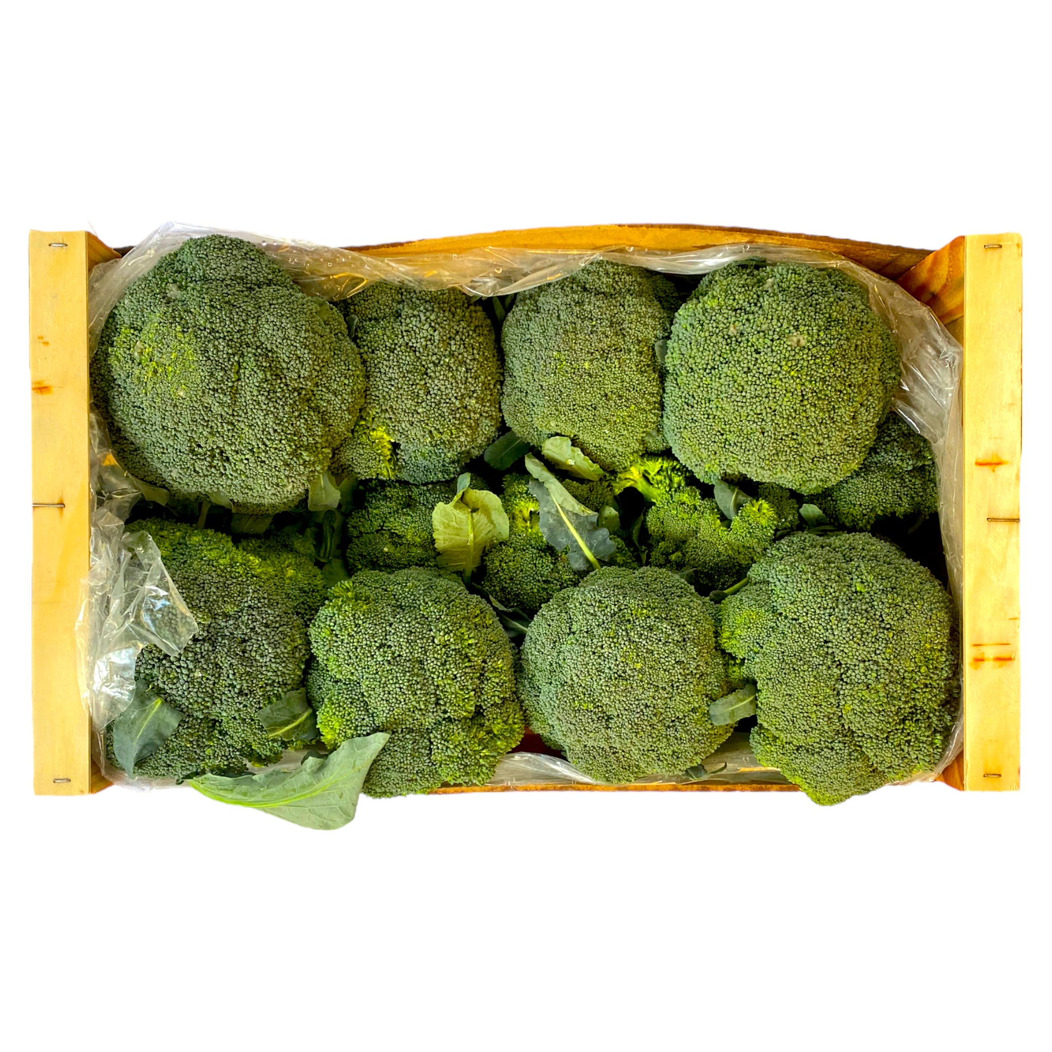 Wrapped Broccoli Broccoli Box 6kg
