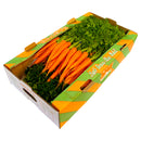 Bunched Carrot Box