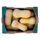 Butternut Squash Box Of 10