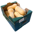 Butternut Squash Box Of 10