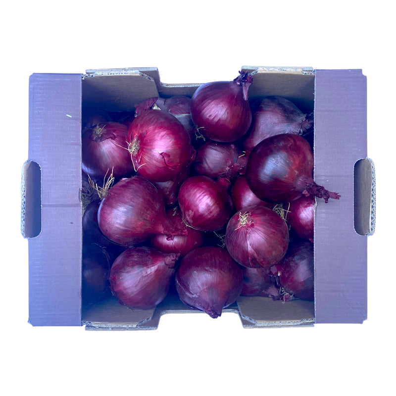 Red Onion 10kg