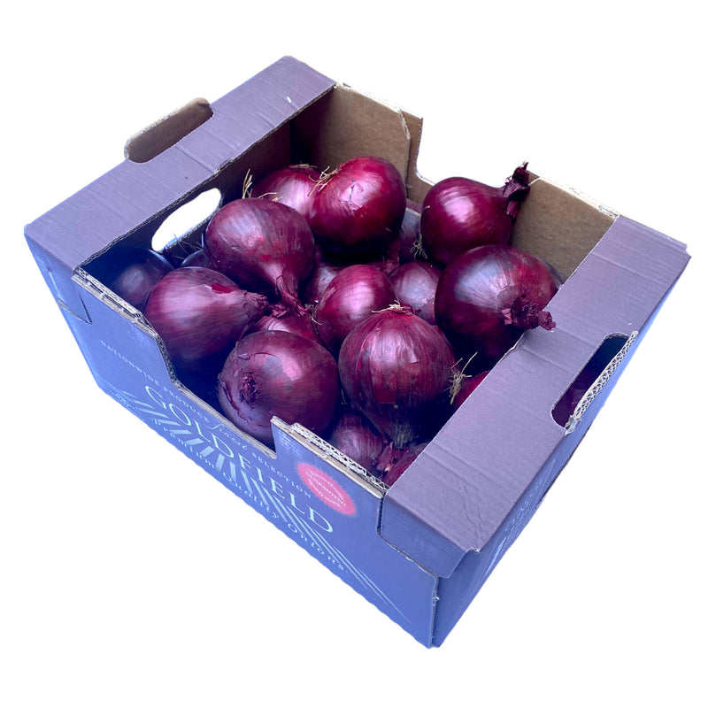 Red Onion 10kg